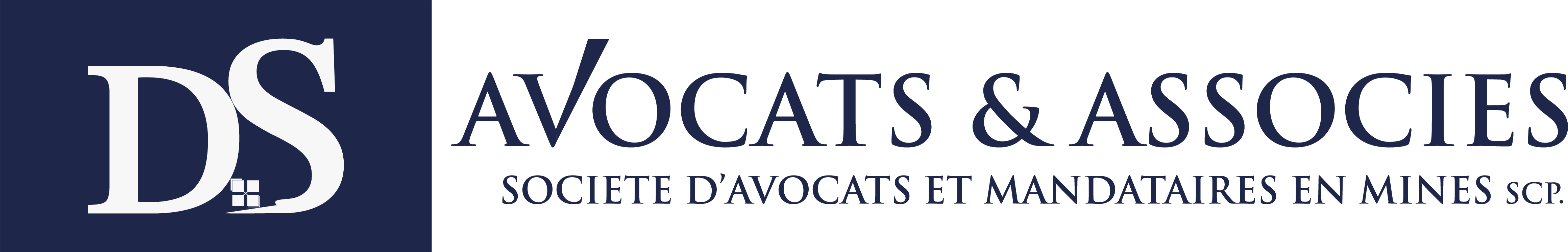 Logo DS AVOCATS ET ASSOCIES